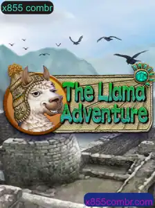 Aventuras e Desafios na Selva de 